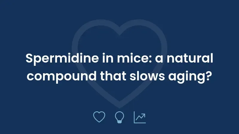 Spermidine in mice: a natural compound that slows aging?