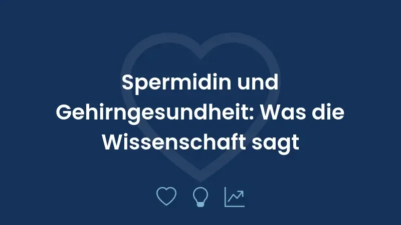 Spermidin und Gehirngesundheit: Was die Wissenschaft sagt