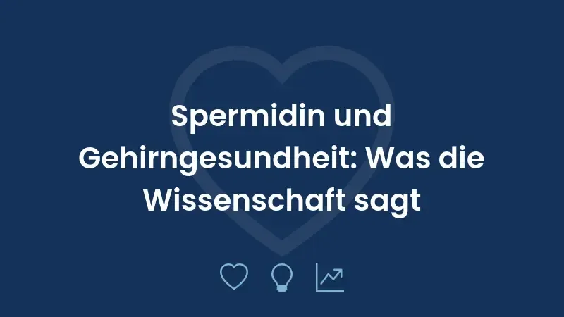 Spermidin und Gehirngesundheit: Was die Wissenschaft sagt