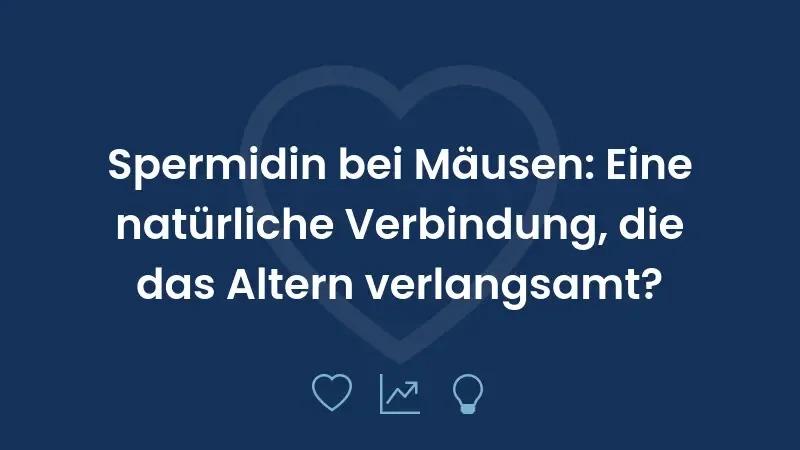 Spermidin bei Mäusen: Eine natürliche Verbindung, die das Altern verlangsamt?