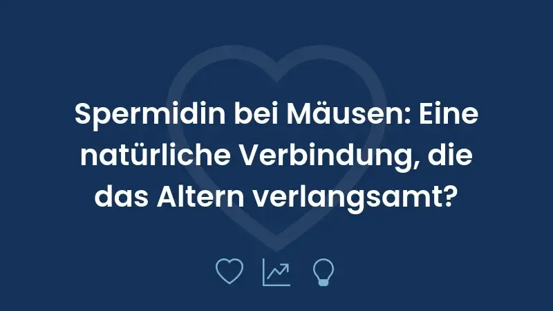 Spermidin bei Mäusen: Eine natürliche Verbindung, die das Altern verlangsamt?