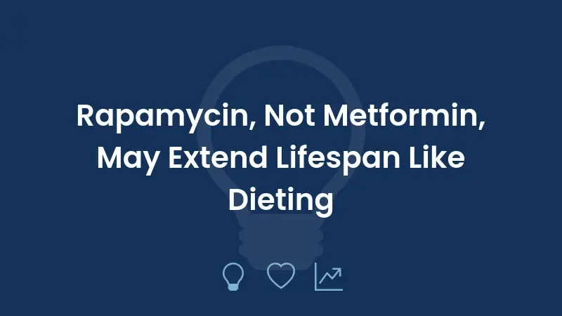Rapamycin, Not Metformin, May Extend Lifespan Like Dieting