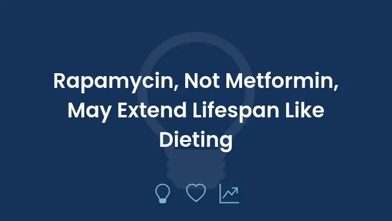 Rapamycin, Not Metformin, May Extend Lifespan Like Dieting
